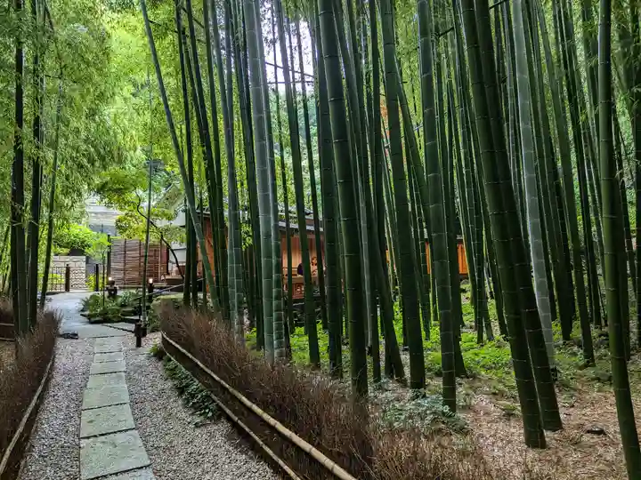報国寺(神奈川県)