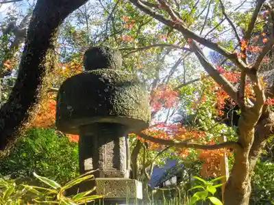 安國論寺（安国論寺）の塔