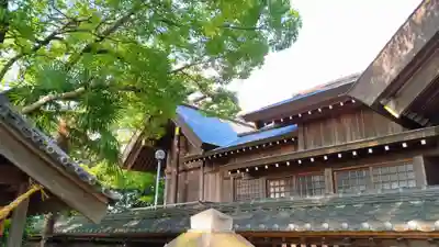 神明神社(箕輪神明神社)の本殿・本堂