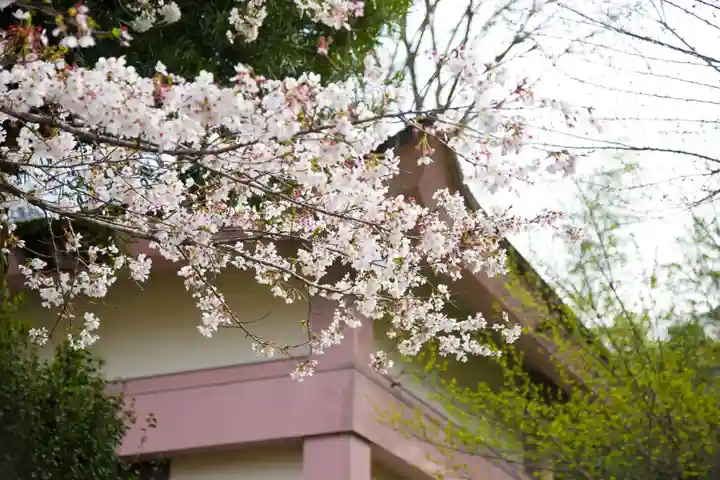 金剛寺(神奈川県)