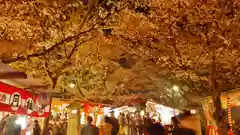 平野神社の庭園