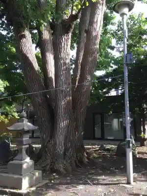 月寒神社(北海道)