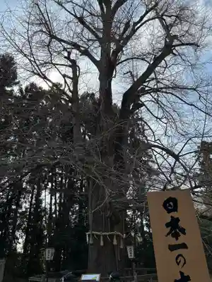 水戸八幡宮(茨城県)