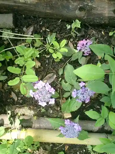 御霊神社の自然
