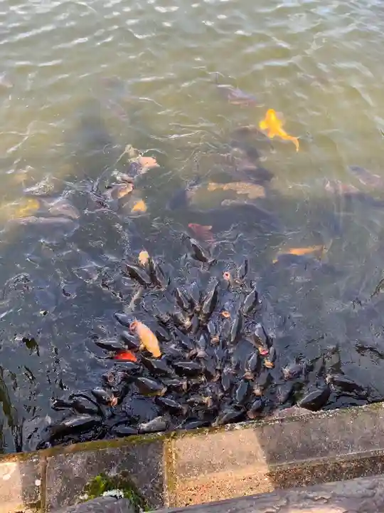 池神社(奈良県)