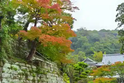円覚寺(神奈川県)