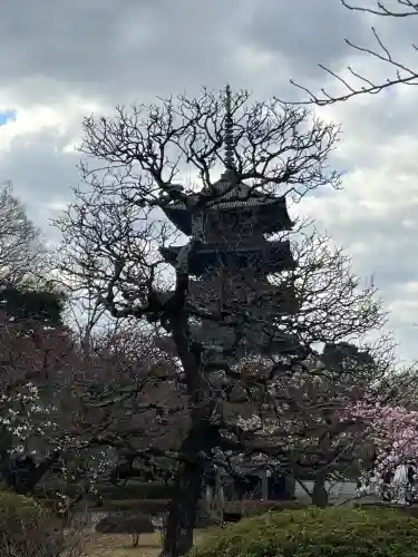 東寺（教王護国寺）の塔