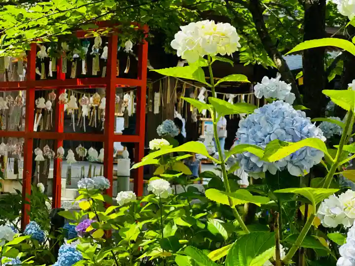 白山神社(新潟県)
