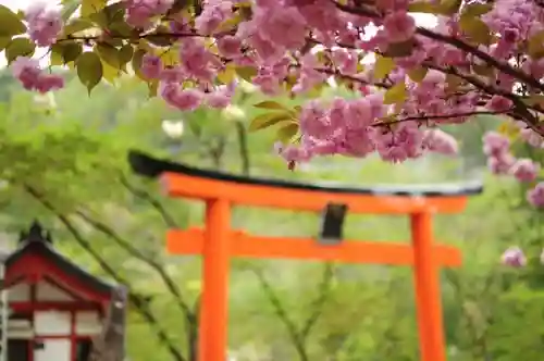 上野総社神社の鳥居