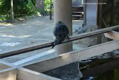 伊勢山皇大神宮(神奈川県)