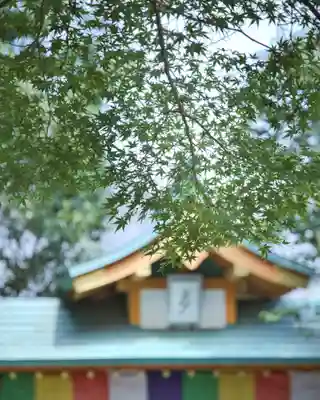 一乗院(身代不動尊) (茨城県)