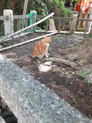 海南神社(神奈川県)