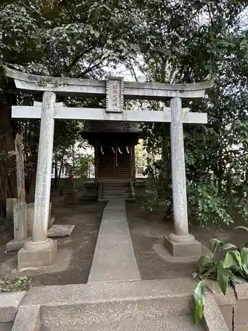 若松稲荷神社の鳥居