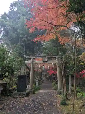 五所駒瀧神社(茨城県)