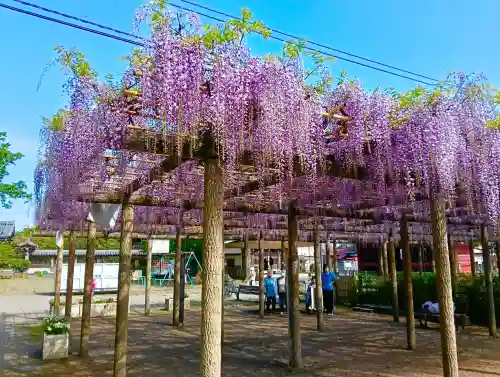 日吉神社の{uncategorized: "未分類", other: "その他", undefined: "問題あり", building: "その他建物", grave: "お墓", sacred_gate: "鳥居", guardian: "狛犬", statue: "像", buddha: "仏像", history: "歴史", nature: "自然", garden: "庭園", animal: "動物", pagoda: "塔", temizu: "手水舎", mountain_gate: "山門・神門", sanctuary: "本殿・本堂", subordinate: "末社・摂社", art: "芸術", scenery: "景色", jizo: "地蔵", ema: "絵馬", goshuin: "御朱印", omikuji: "おみくじ", items: "授与品その他", amulet: "お守り", goshuincho: "御朱印帳", eats: "食事", festival: "お祭り", votive_dance: "神楽", shichigosan: "七五三参", wedding: "結婚式", experience: "体験その他", initially: "初詣", around: "周辺", anti_infection: "感染症対策"}