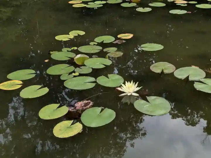 平安神宮(京都府)