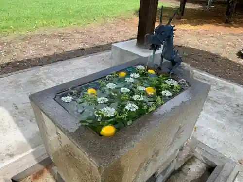 鹿追神社の手水