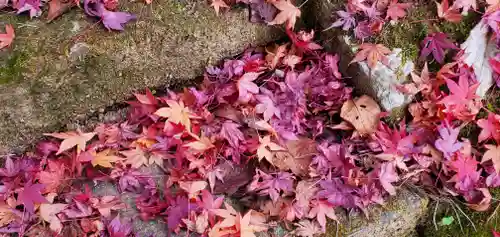 黒石寺の建物その他