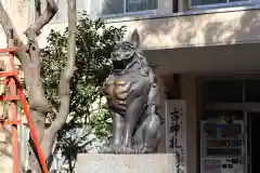 稲毛神社の狛犬