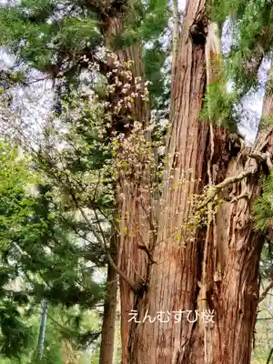 磐椅神社のその他建物