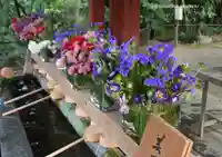 武蔵一宮氷川神社(埼玉県)