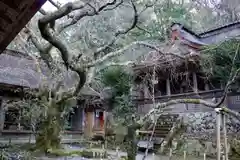 吉野水分神社の建物その他