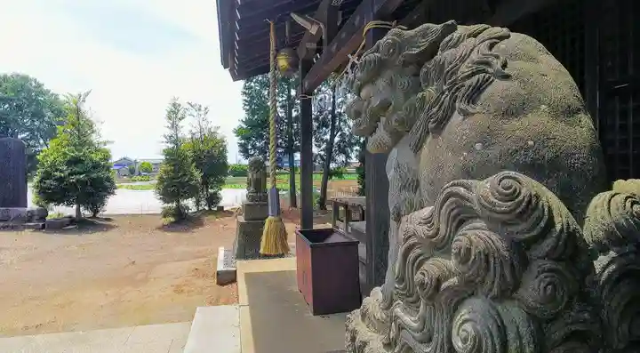 上水子ノ氷川神社の狛犬