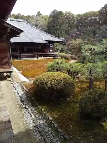 隨心院（随心院）の庭園