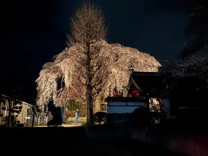 妙道寺(栃木県)