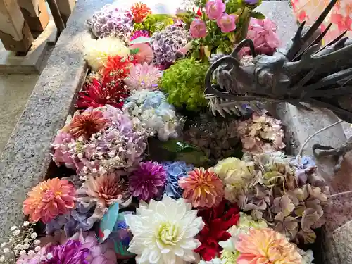 札幌諏訪神社の手水舎