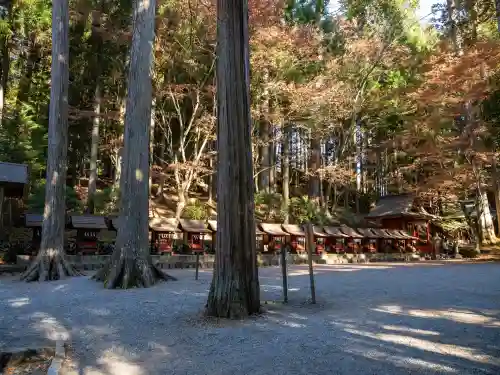 三峯神社(埼玉県)