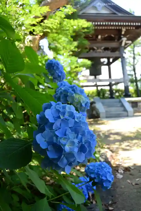 萬福寺(神奈川県)