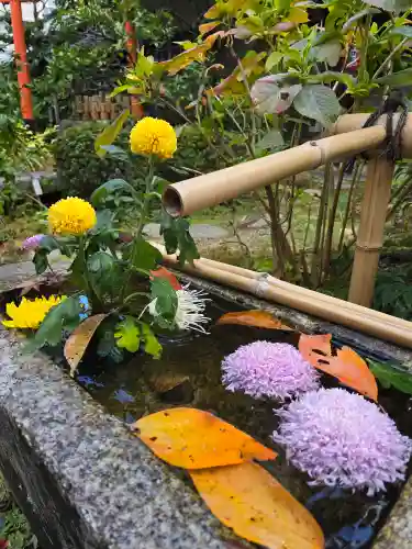 宝蔵寺(京都府)