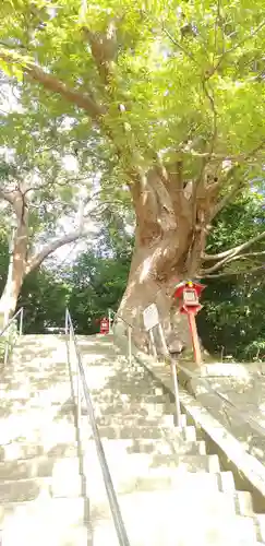 常陸第三宮　吉田神社のその他建物