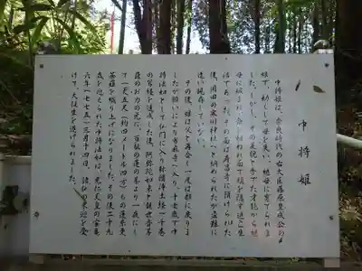 中将姫(神奈川県)
