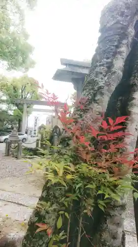 若宮神明社の自然