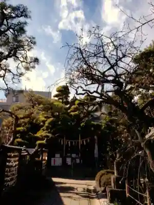 鳩森八幡神社の本殿・本堂