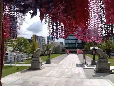 佐佳枝廼社(福井県)