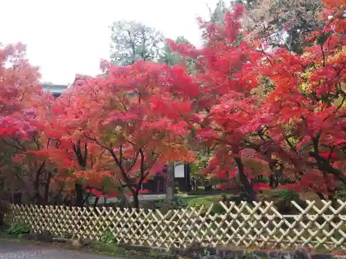 禅林寺（永観堂）(京都府)