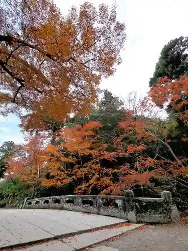 日吉大社(滋賀県)