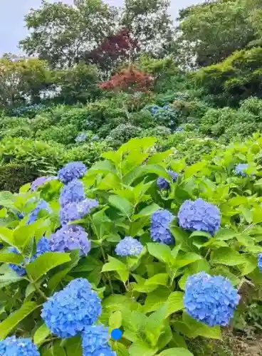本勝寺(静岡県)