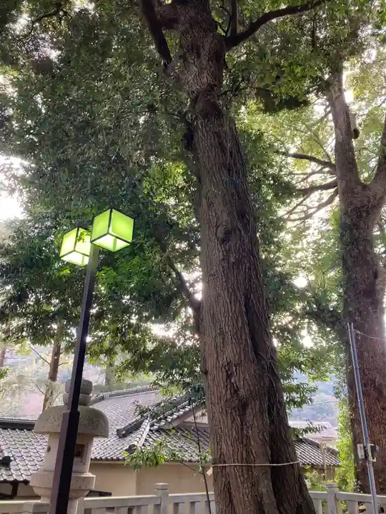 五郎神社(神奈川県)