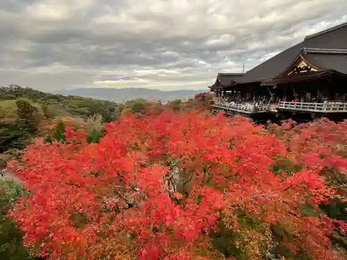 清水寺奥之院(京都府)