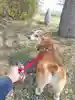 みーちぇ