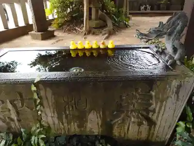 柏諏訪神社の手水舎