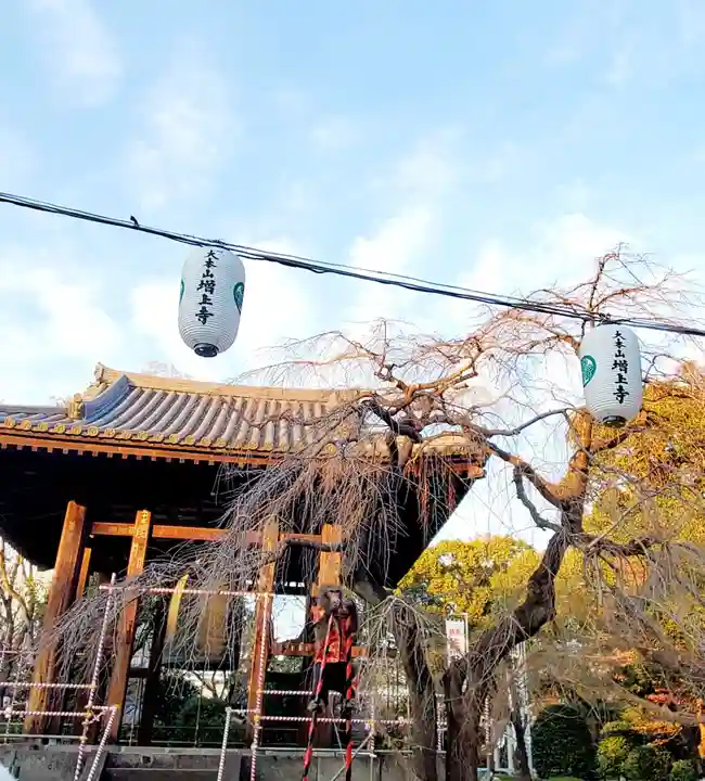 増上寺(東京都)