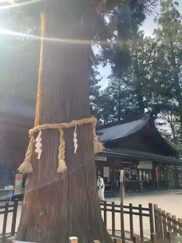 穂高神社本宮(長野県)