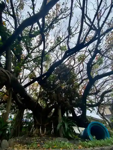 柏島稲荷神社(高知県)
