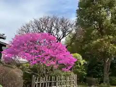 天台宗　長窪山　正覚寺の自然