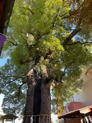 五方山熊野神社(東京都)